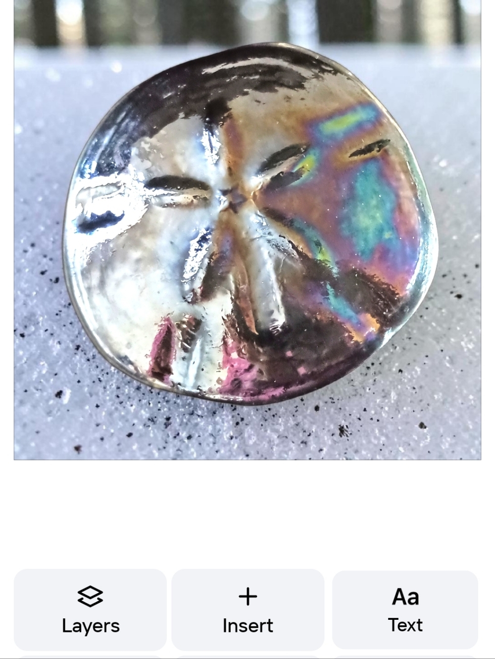 Art Glass Sand Dollar Iridescent‎ Paperweight Vintage Coastal Beach House Ocean